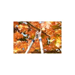 Spear & Jackson Razorsharp Tele Bypass Lopper 12 Spear & Jackson Razorsharp Tele Bypass Lopper -Garden & Outdoor Store 12810811 1464833196929633