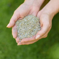 Westland Safe Lawn Natural Lawn Feed - 150m² -Garden & Outdoor Store 12814336 1595061828066483