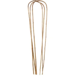 Garden Bamboo Loop Support - 1200mm