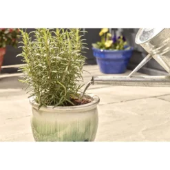 Miracle-Gro Pump & Feed All Purpose Plant Food - 200ml -Garden & Outdoor Store 12834802 8834833167206419