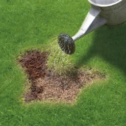 Miracle-Gro Patch Magic Grass Seed, Feed & Coir - 48 Patch Bag 5 Miracle-Gro Patch Magic Grass Seed, Feed & Coir - 48 Patch Bag -Garden & Outdoor Store 12841642 1784927305573390