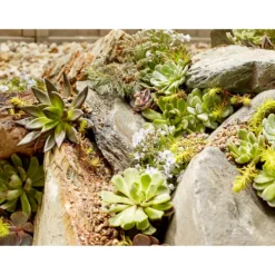 Stylish Stone Rustic Slate Rockery -Garden & Outdoor Store 12875997 6334849696657587