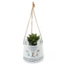 Novelty Animal Hanging Planter - Cat