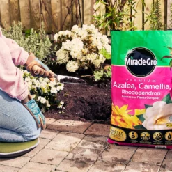Miracle Gro Premium Azalea, Camellia & Rhododendron Ericaceous Compost - 40L 9 Miracle Gro Premium Azalea, Camellia & Rhododendron Ericaceous Compost - 40L -Garden & Outdoor Store 12882812 1004843671886080