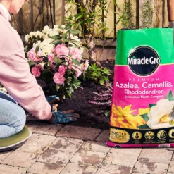 Miracle Gro Premium Azalea, Camellia & Rhododendron Ericaceous Compost - 40L 11 Miracle Gro Premium Azalea, Camellia & Rhododendron Ericaceous Compost - 40L -Garden & Outdoor Store 12882812 1404843671956442