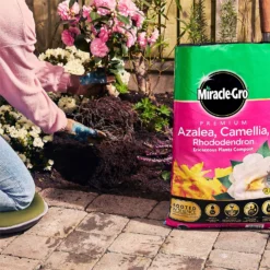 Miracle Gro Premium Azalea, Camellia & Rhododendron Ericaceous Compost - 40L 10 Miracle Gro Premium Azalea, Camellia & Rhododendron Ericaceous Compost - 40L -Garden & Outdoor Store 12882812 1924843671918789