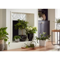 Regent Glazed Urn Planter - 21cm -Garden & Outdoor Store 12885371 1614948242968073