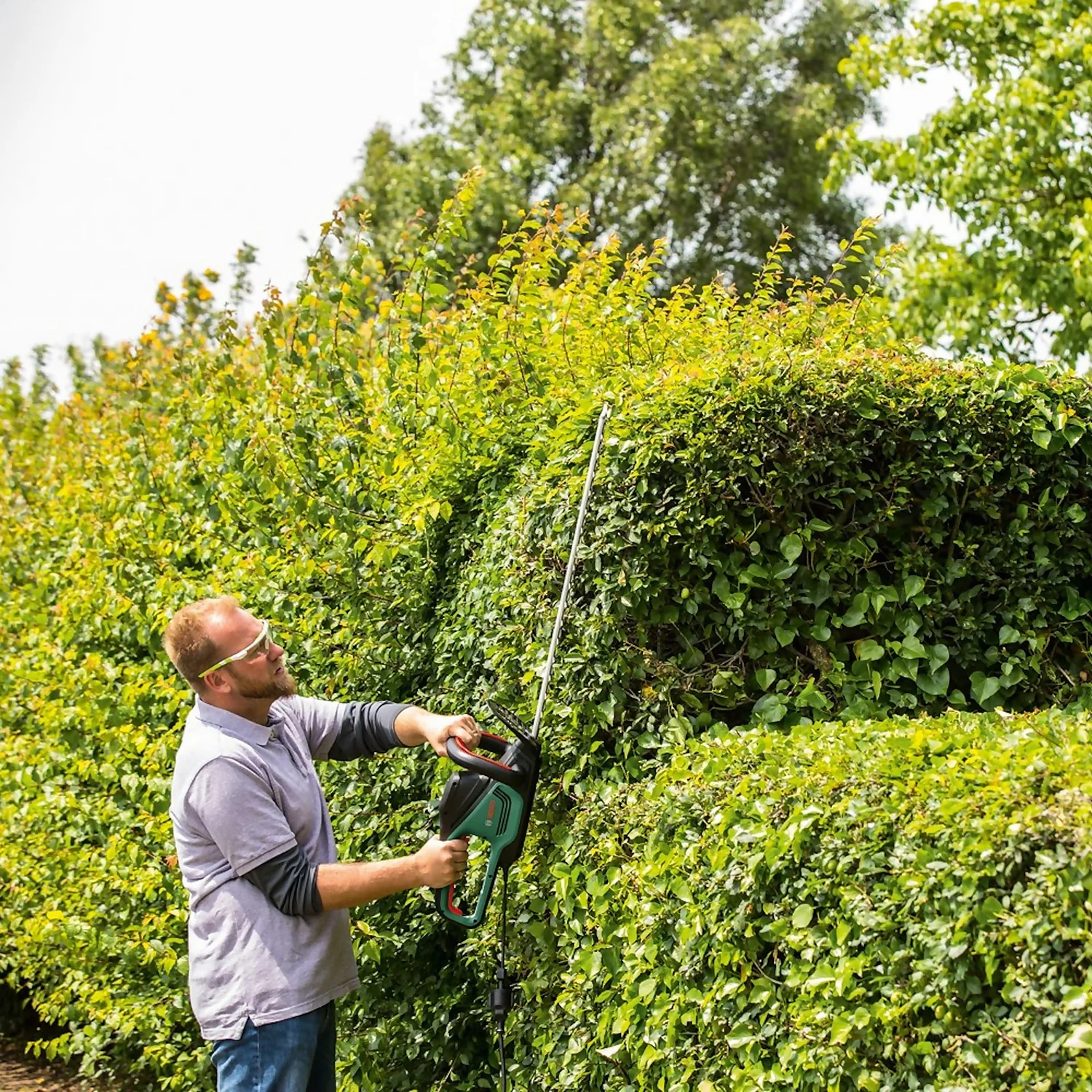 Bosch 500W Advanced HedgeCut 65 Hedge Trimmer 7 Bosch 500W Advanced HedgeCut 65 Hedge Trimmer - Image 7