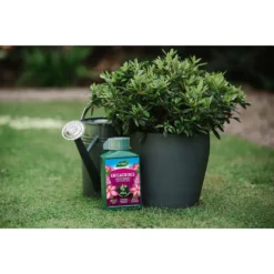 Westland Ericaceous Specialist Feed - 1l -Garden & Outdoor Store 12886482 6714971590616774