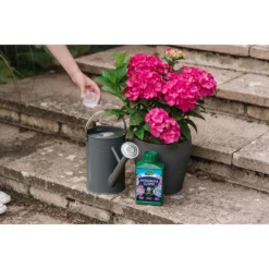 Westland Hydrangea Feed - 1l -Garden & Outdoor Store 12886486 1744971590629542