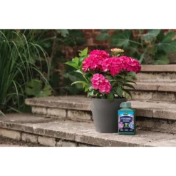 Westland Hydrangea Feed - 1l -Garden & Outdoor Store 12886486 5014971590603901
