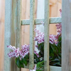 Mercia Curved Arch -Garden & Outdoor Store 12888302 6134849860614286