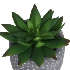 Small Succulent - Grey -Garden & Outdoor Store 12909500 1734869235660464