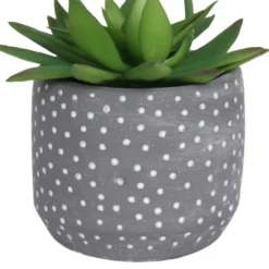 Small Succulent - Grey -Garden & Outdoor Store 12909500 2024869235581411