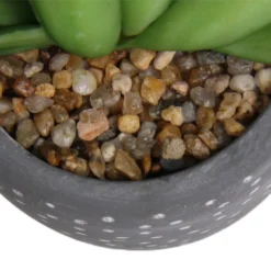 Small Succulent - Grey -Garden & Outdoor Store 12909500 5574869235621944