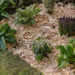 Westland Rustic Wood Chips - 60L -Garden & Outdoor Store 13280769 1564929084866478