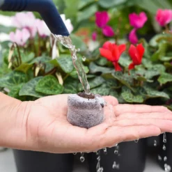 Coco & Coir Seed Germination Dots - 40mm -Garden & Outdoor Store 13487129 3894919981363337