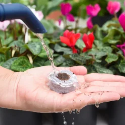 Coco & Coir Seed Germination Dots - 40mm -Garden & Outdoor Store 13487129 7814919981385408