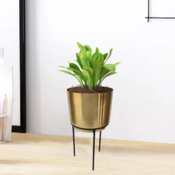 Brass Indoor Plant Pot With Straight Stand - 14cm -Garden & Outdoor Store 13887189 1004999809742584
