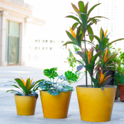 Glazed Finish Planter Mustard 30cm -Garden & Outdoor Store 13928631 8775001956194656