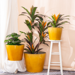 Glazed Finish Planter Mustard 40cm -Garden & Outdoor Store 13928632 1075001956273763