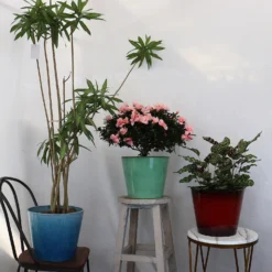 Glazed Finish Planter Mustard 40cm -Garden & Outdoor Store 13928632 3495001956393211