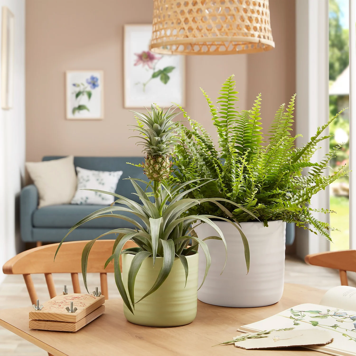 Scheurich Ripple Soft Green Indoor Pot - 14cm 2 Scheurich Ripple Soft Green Indoor Pot - 14cm - Image 2