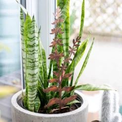 Floral Bronze Ground Stakes - 45cm (Assorted Designs) -Garden & Outdoor Store 13981009 1695005324721013