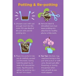 Westland Orchid Potting Mix Peat Free 8L -Garden & Outdoor Store 14013784 4815003754410304