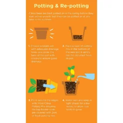 Westland Citrus Potting Mix Peat Free 8L -Garden & Outdoor Store 14013785 1645003754507372