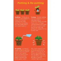 Westland Cacti & Succulent Potting Mix Peat Free 4L -Garden & Outdoor Store 14013786 1245003754031248