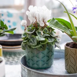 Art Deco Indoor Plant Pot - 12cm -Garden & Outdoor Store 14197411 2035024190791106