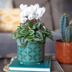 Art Deco Indoor Plant Pot - 12cm -Garden & Outdoor Store 14197411 3485024190881577