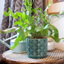 Art Deco Indoor Plant Pot - 12cm -Garden & Outdoor Store 14197411 8455024190966417