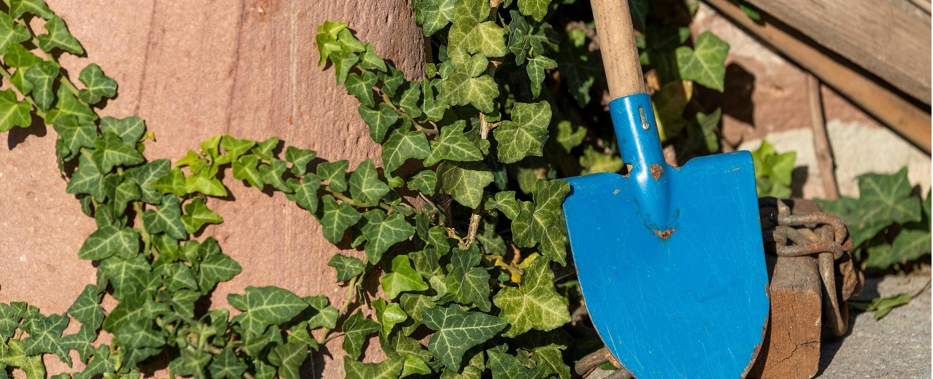 Garden & Outdoor Store -Garden & Outdoor Store garden 7429547 1920