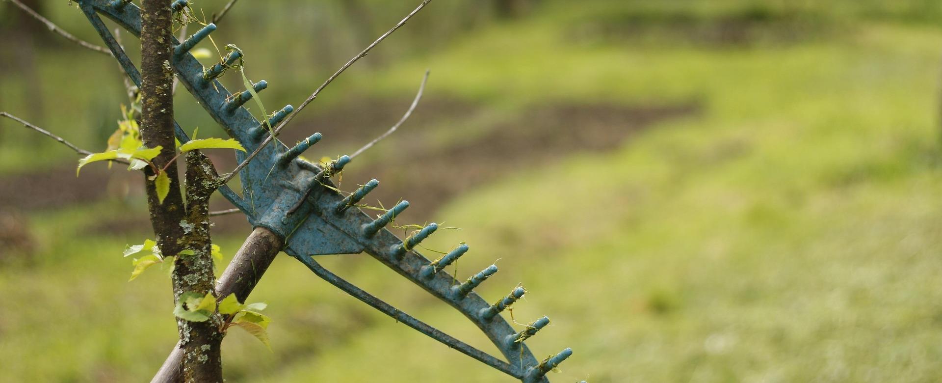 Garden & Outdoor Store -Garden & Outdoor Store rake 1211347 1920